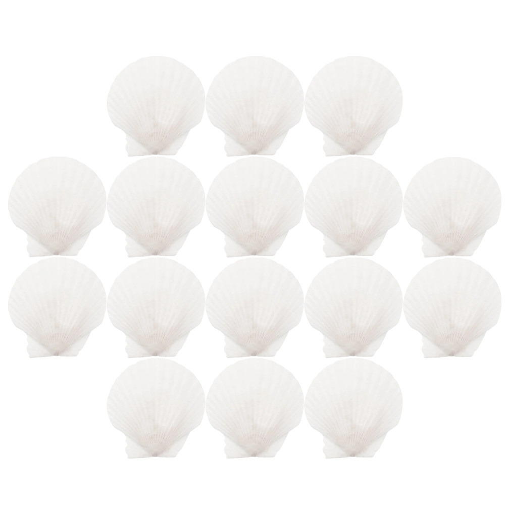 16Pcs Flat Natural Sea Shells  - Art Craft Gallery ulasan dan harga