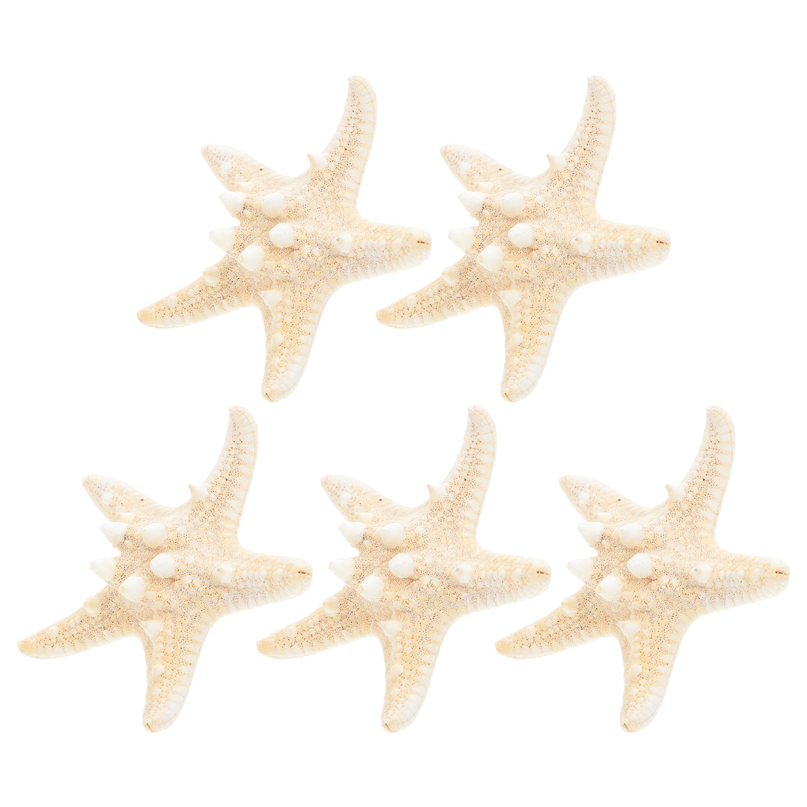 5Pcs Sea Star Ornaments Ocean  - Art Craft Gallery ulasan dan harga