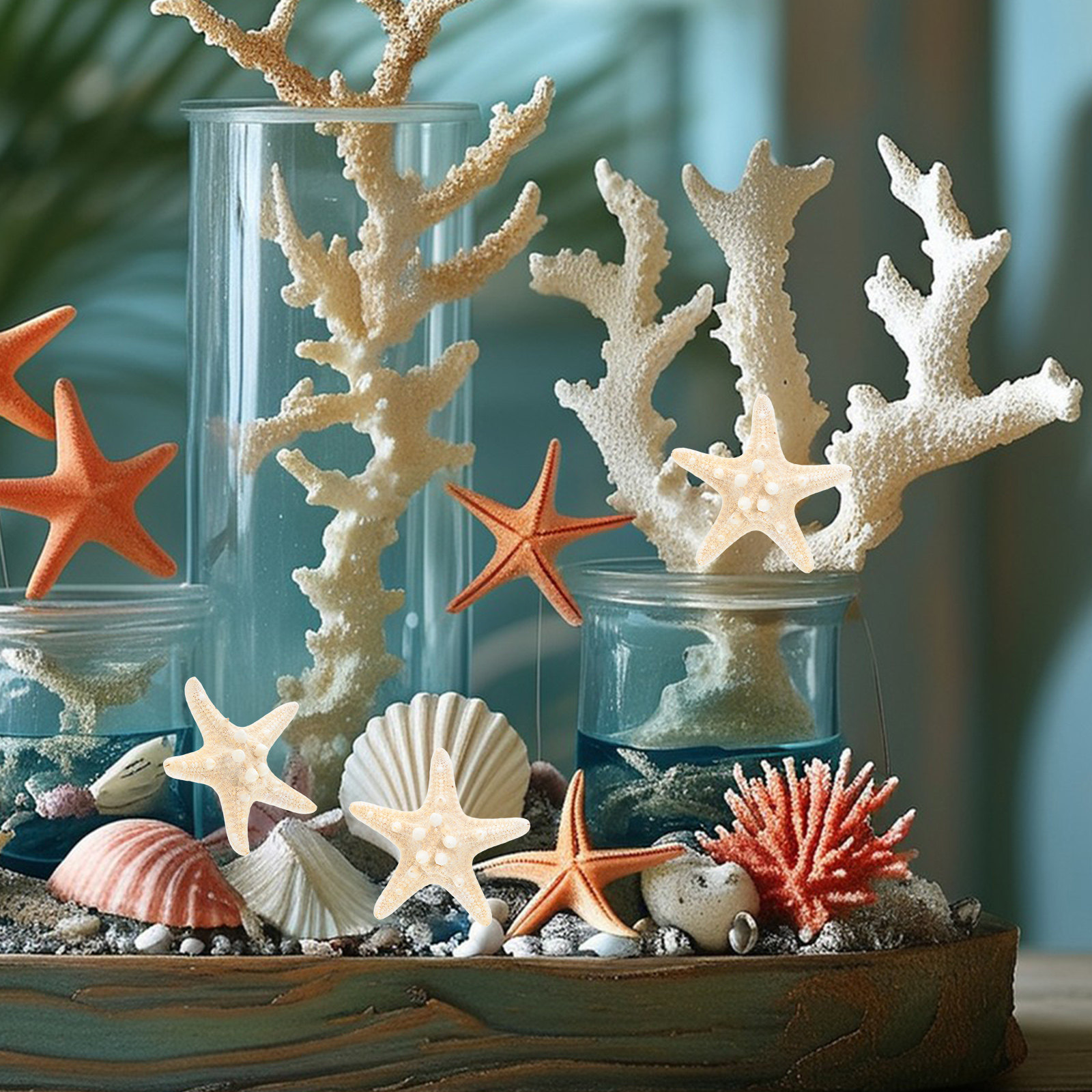 5Pcs Sea Star Ornaments Ocean  - Art Craft Gallery ulasan dan harga