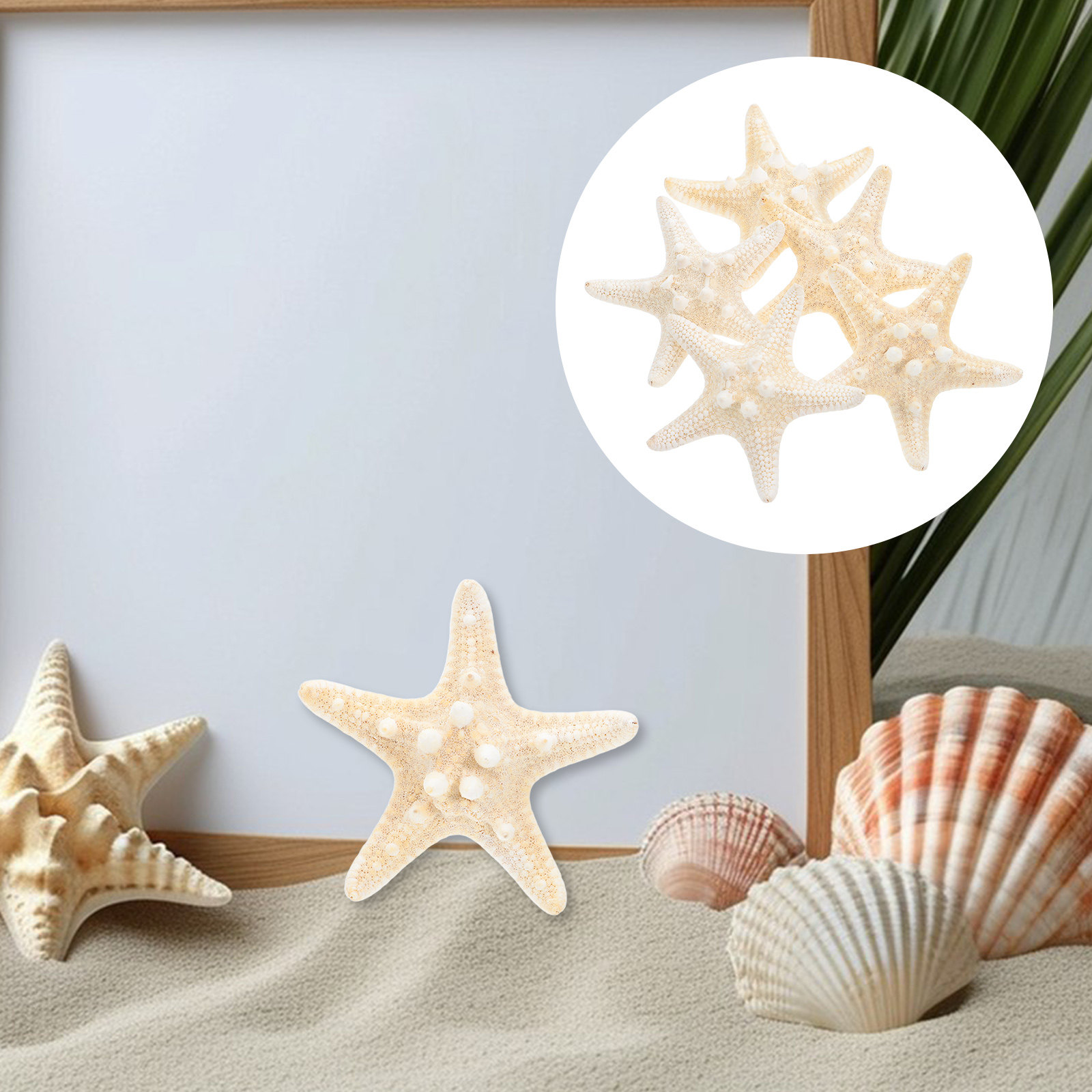 5Pcs Sea Star Ornaments Ocean  - Art Craft Gallery ulasan dan harga