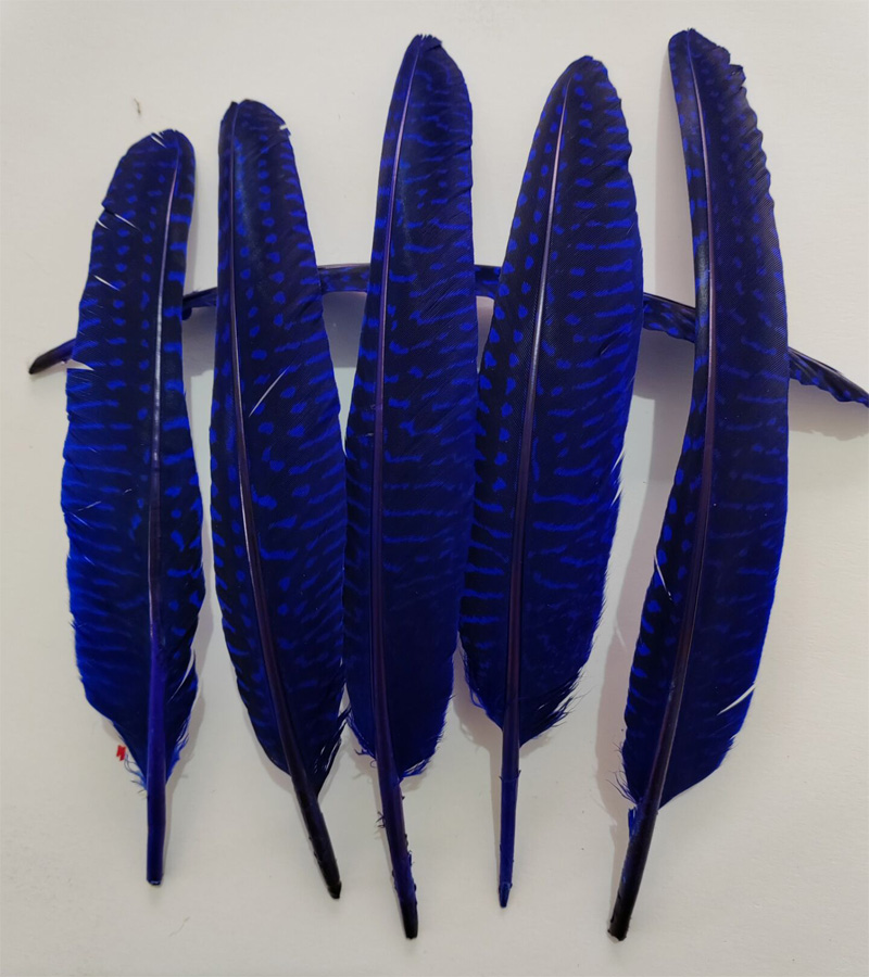 перья!100Pcs/Lot!14-20cm Multi - Art Quilling Craft ulasan dan harga
