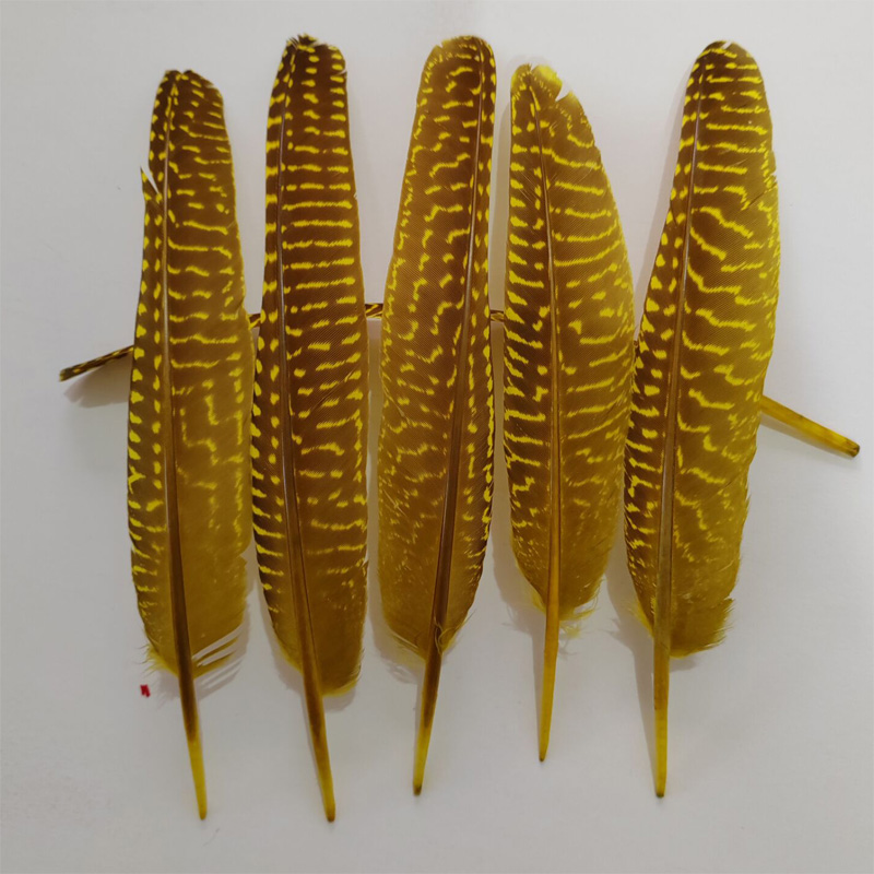 перья!100Pcs/Lot!14-20cm Multi - Art Quilling Craft ulasan dan harga